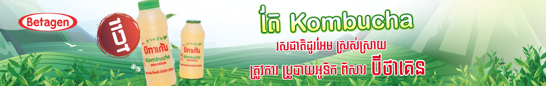 Betagen Kombucha