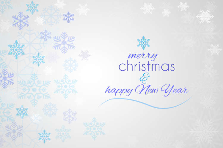 Merry Christmas and Happy New Year!