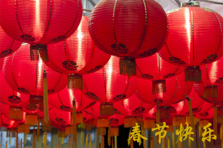 Happy Chinese New Year 祝大家春节快乐！